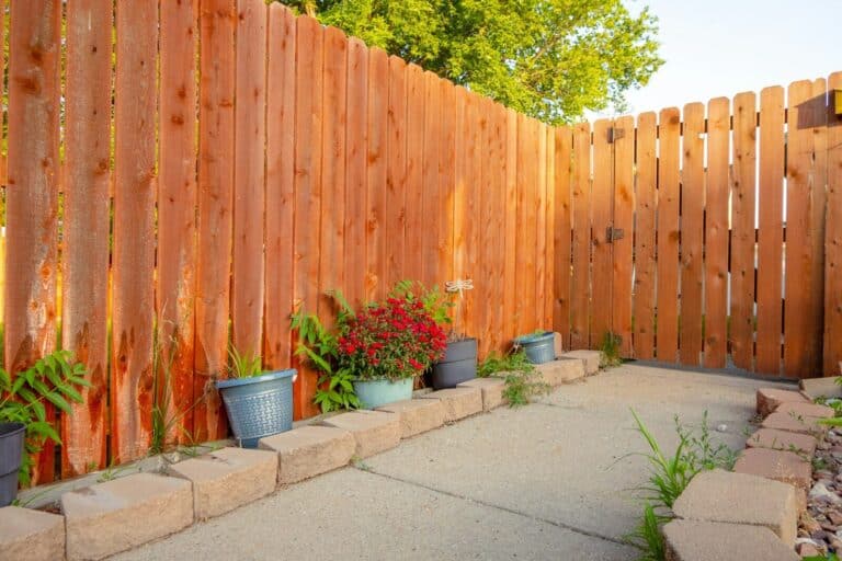 potted plants beside brown wooden fence